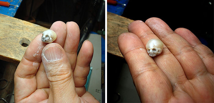 Shinji Nakaba perla calavera9
