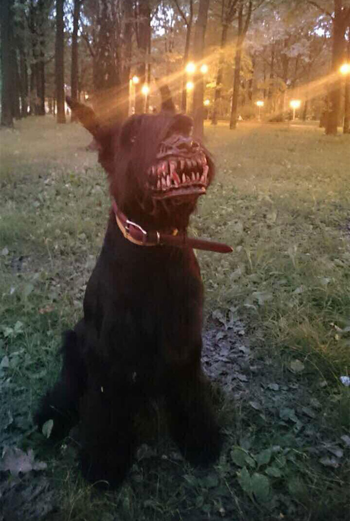bozal Werewolf Cultura Inquieta