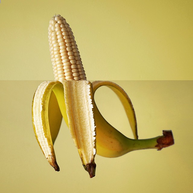 funny-photo-collage-combophoto-stephen-mcmennamy15