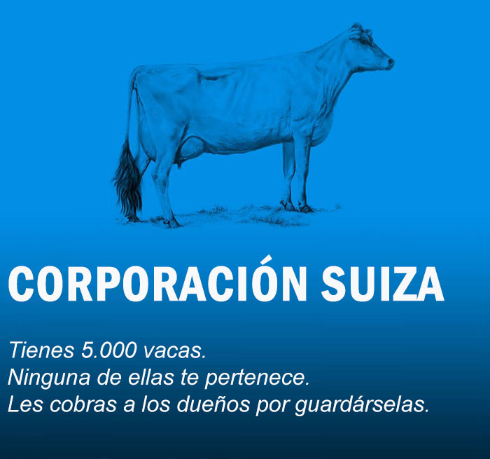 vacas economia Cultura Inquieta8
