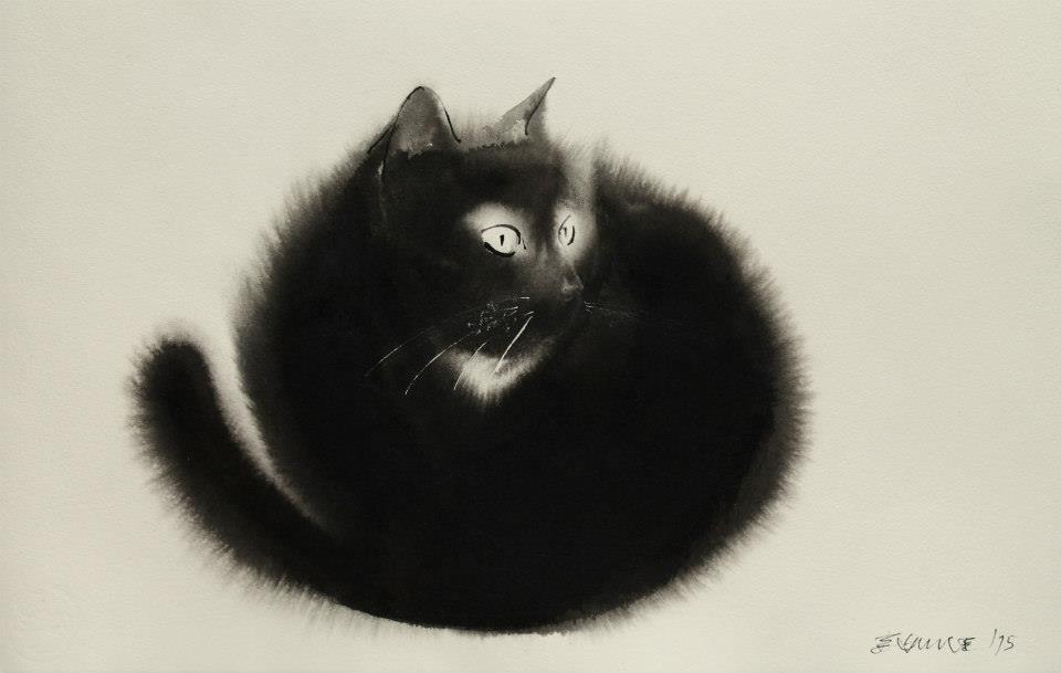Endre Penovac gato cat