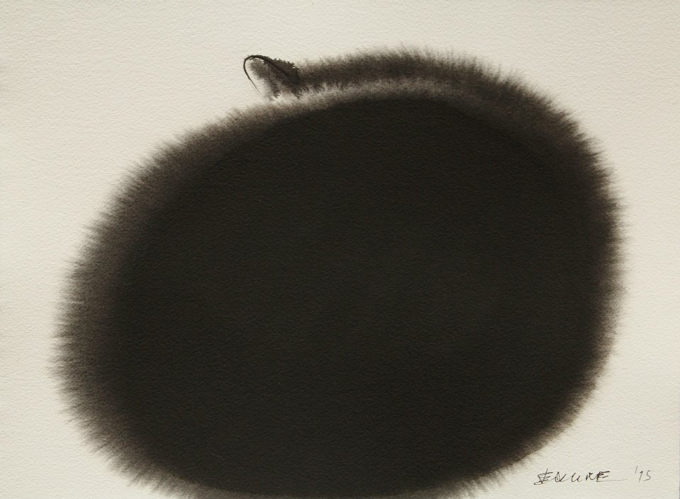 Endre Penovac gato cat2