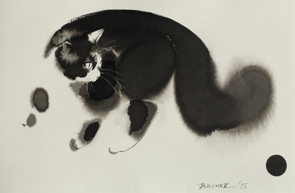 Endre Penovac gato cat4