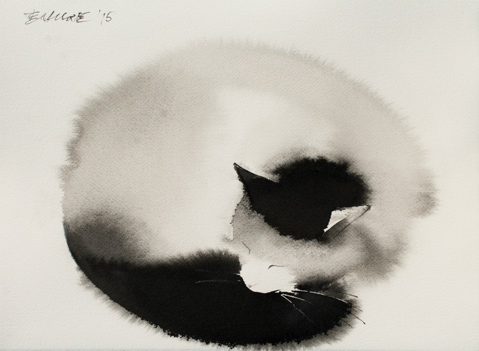 Endre Penovac gato cat5
