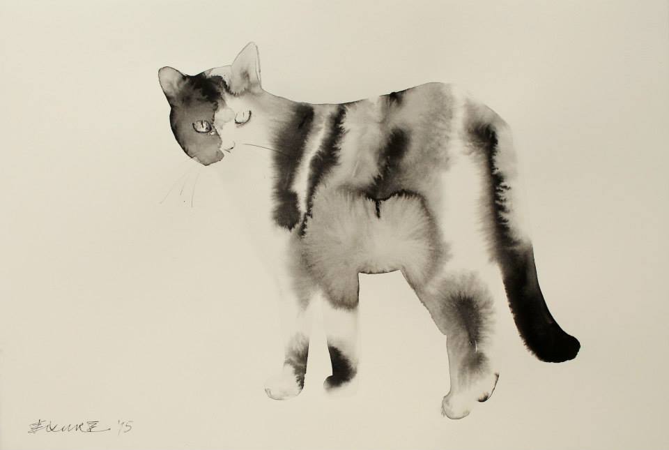 Endre Penovac gato cat6
