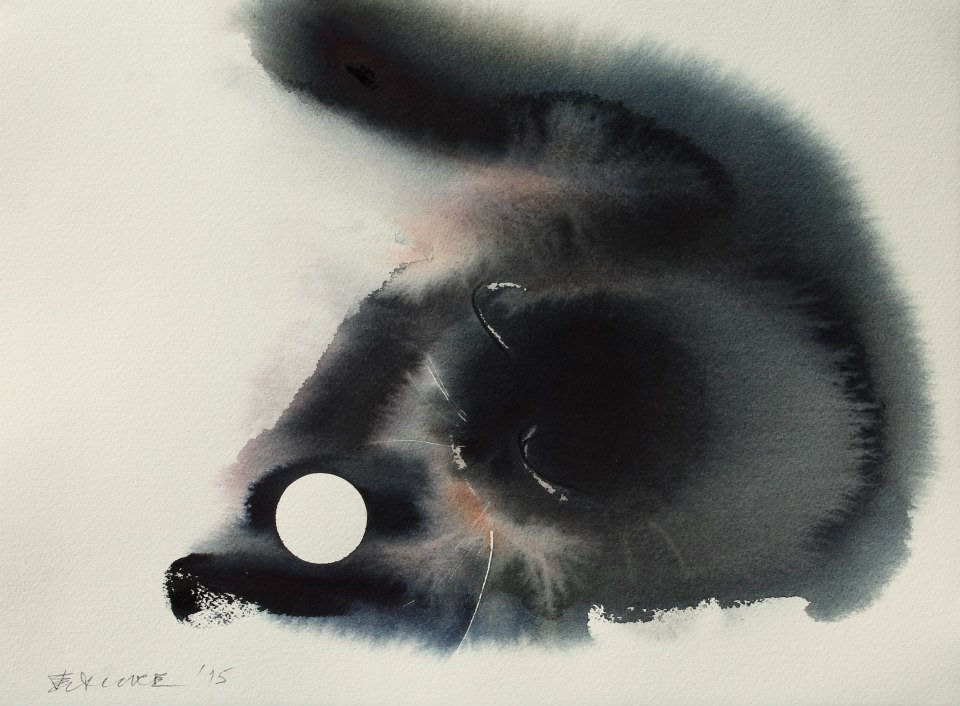 Endre Penovac gato cat7
