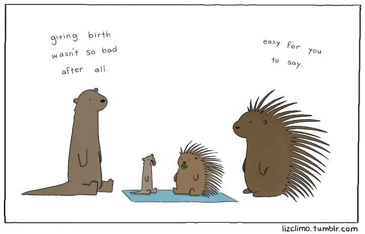 Liz Climo humor ilustraciones