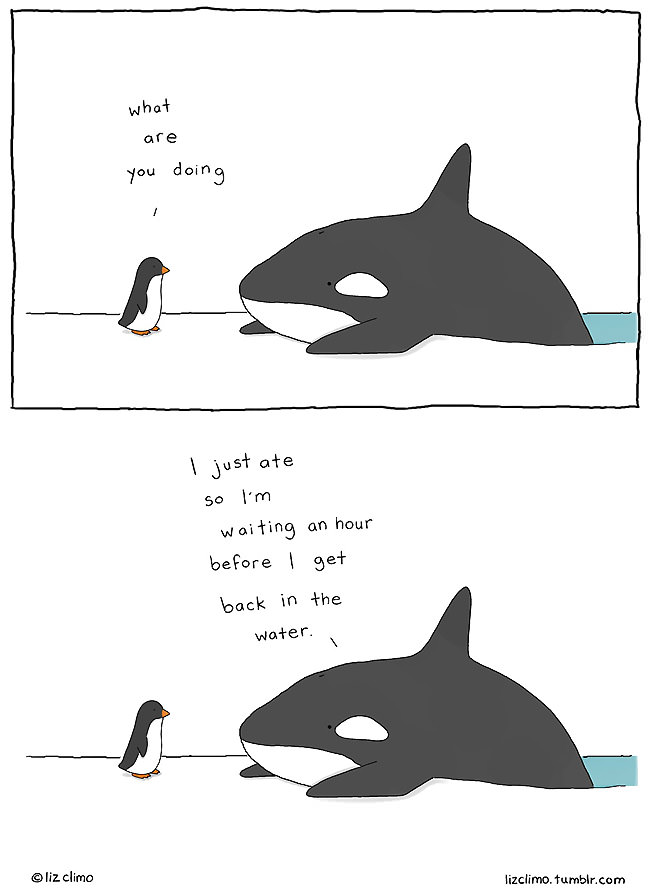 Liz Climo humor ilustraciones15