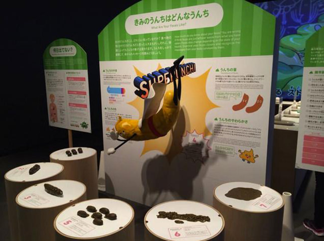 caca wc museo6