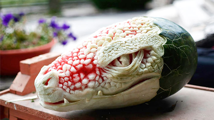 sandia melon dragon5