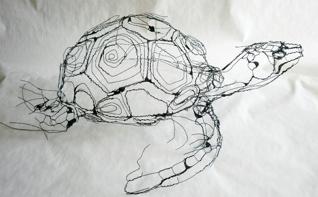 David Oliveira alambre wire10