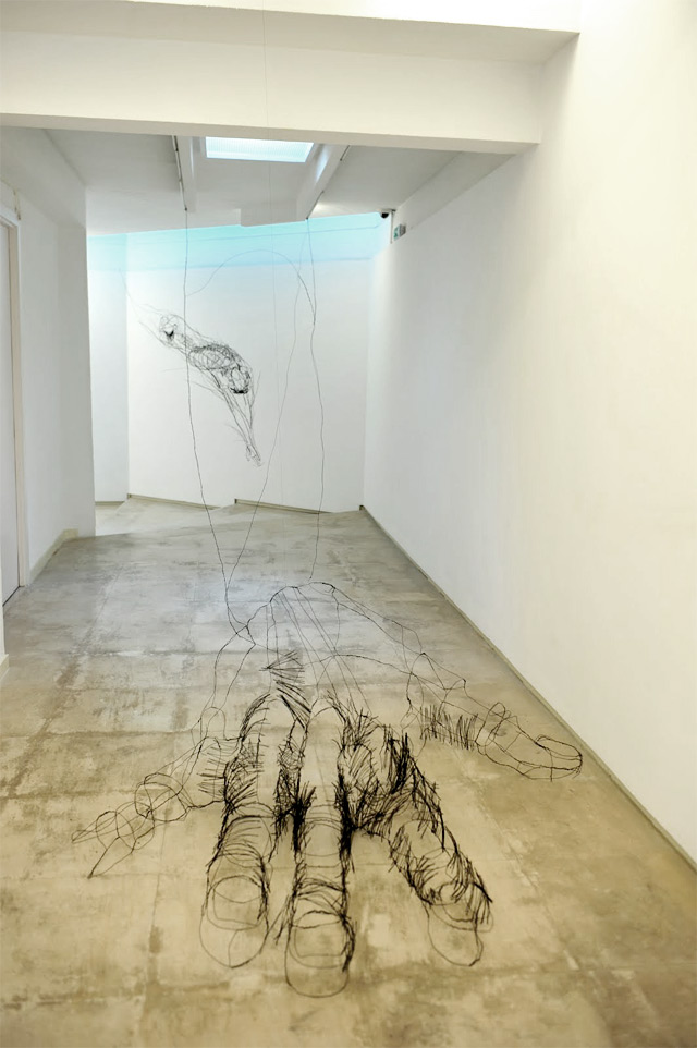 David Oliveira alambre wire12