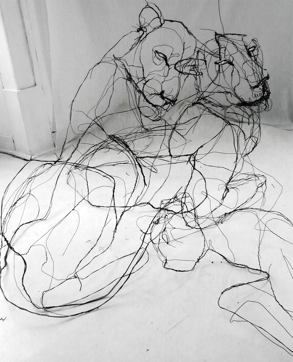 David Oliveira alambre wire2