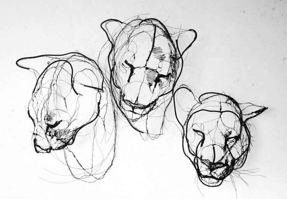 David Oliveira alambre wire5