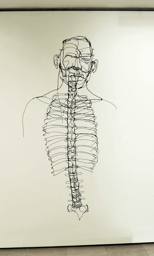 David Oliveira alambre wire9