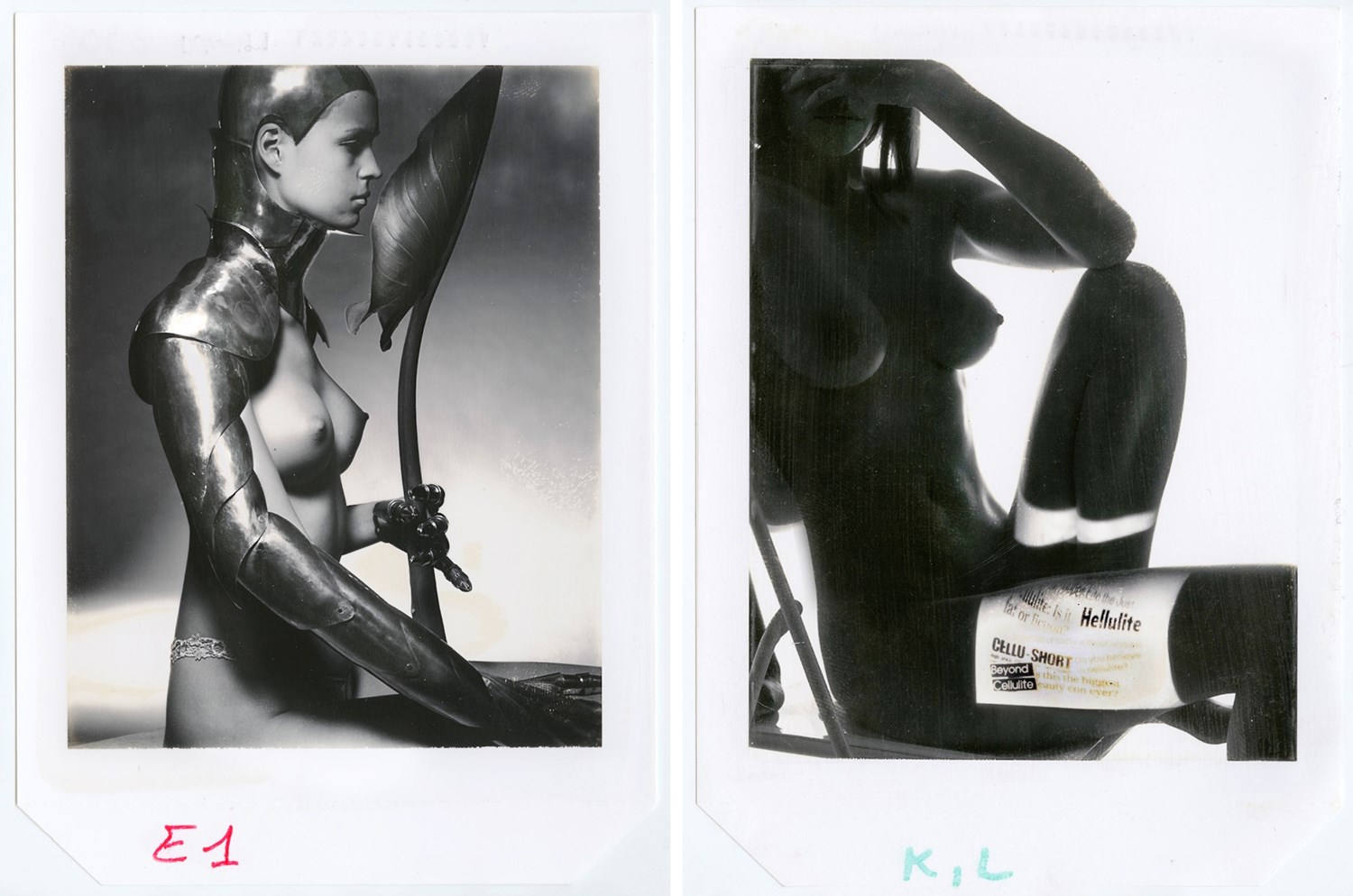 Fotografía Polaroid de Donna Trope