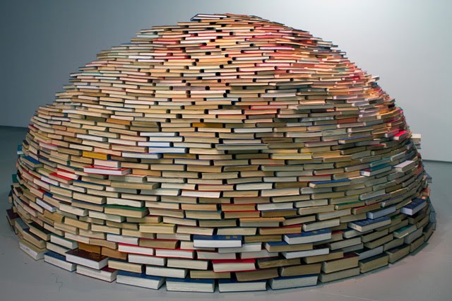 Igloo Libro book4