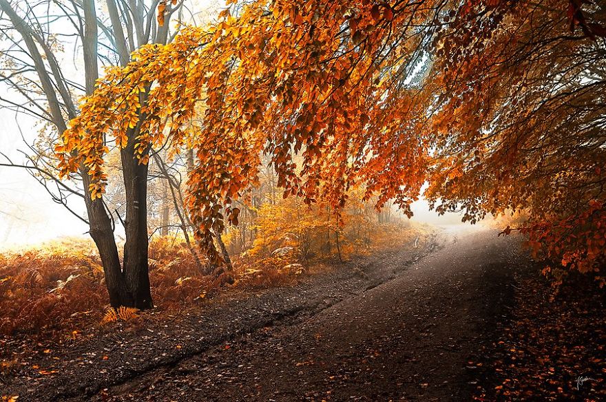 Janek Sedlar Autumn18