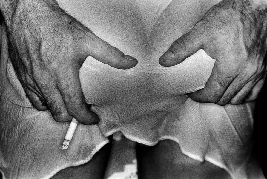 Jocelyn Bain Hogg violencia sexo fotografia Cultura Inquieta