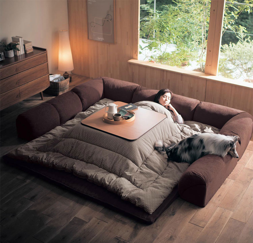 Kotatsu Cultura Inquieta5
