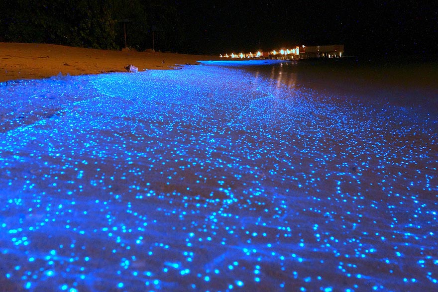 foto increible alucinante Cultura Inquieta19