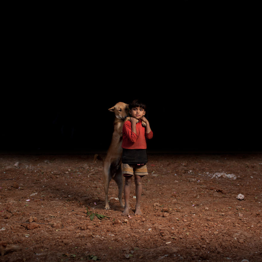 perros abandonados adopted dogs Cultura Inquieta