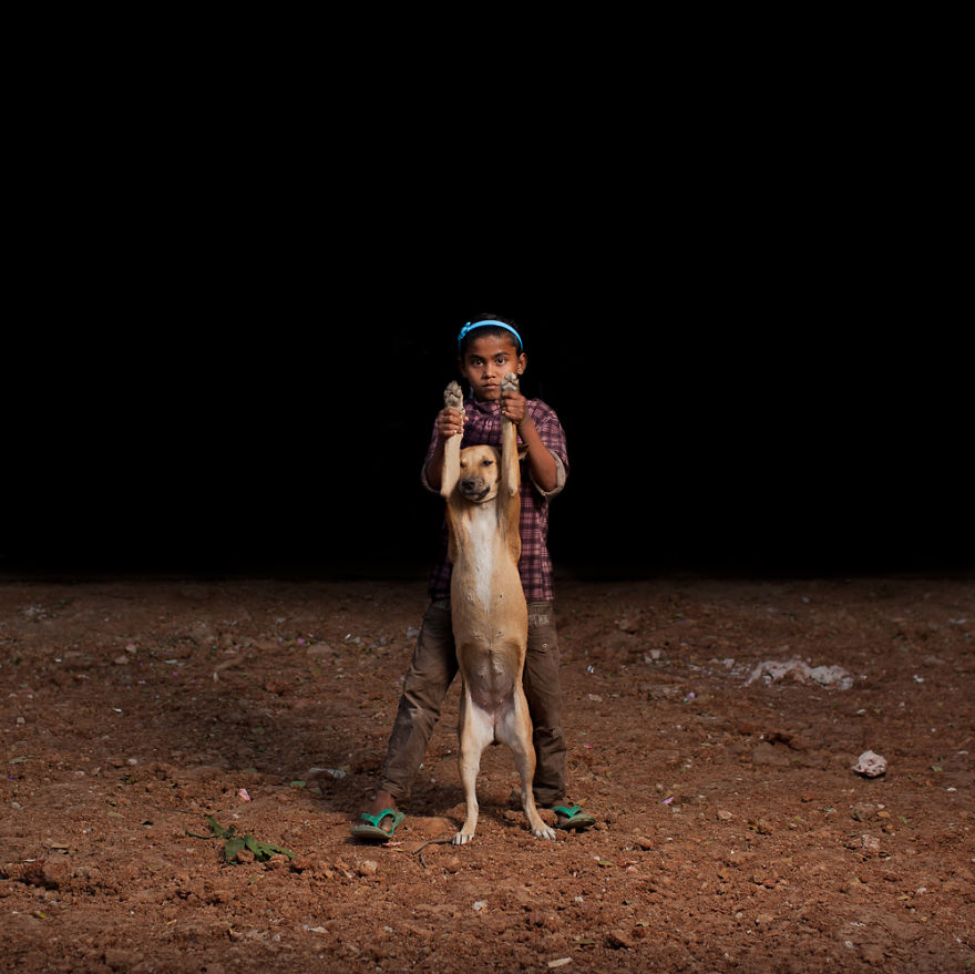 perros abandonados adopted dogs Cultura Inquieta3