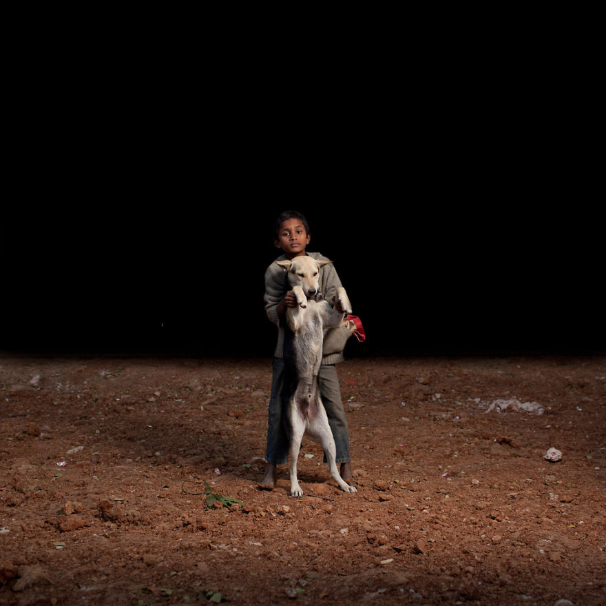 perros abandonados adopted dogs Cultura Inquieta6