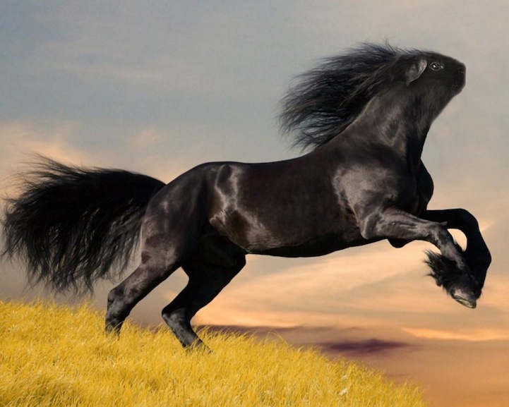 Gyyp photo manipulation foto manipulacion photoshop12