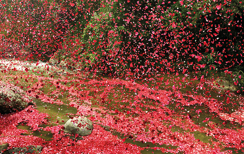 Nick Meek Costa Rica Cultura Inquieta7