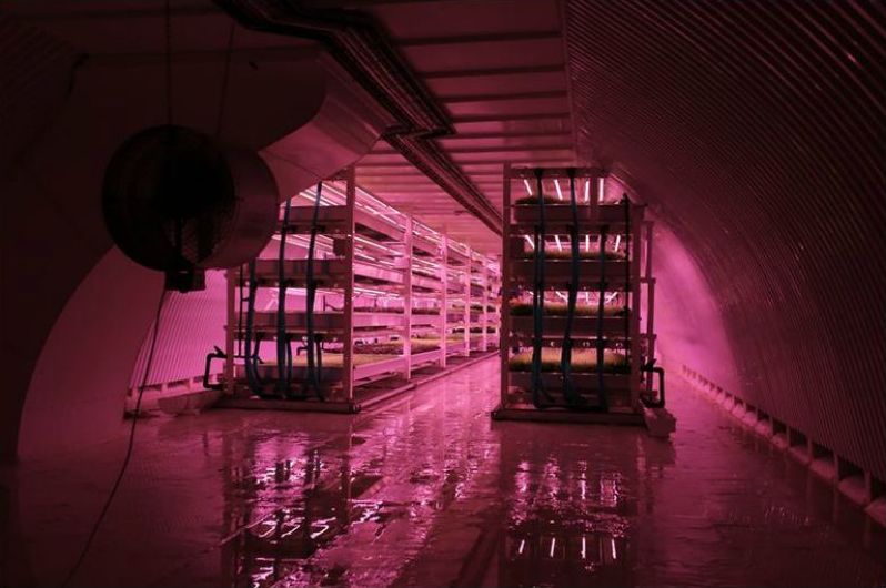 granja hidroponica Hydroponic Farm2
