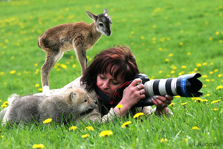 nature photographer fotografo naturaleza8