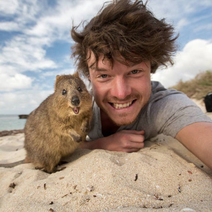 Allan Dixon selfie animal