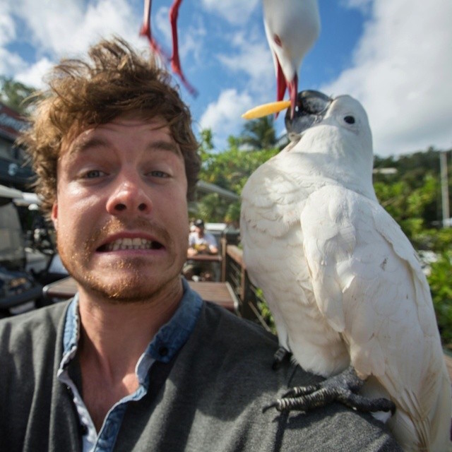Allan Dixon selfie animal 11