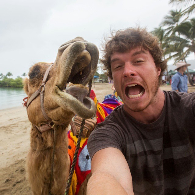 Allan Dixon selfie animal 12