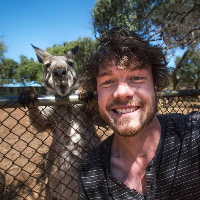 Allan Dixon selfie animal 2