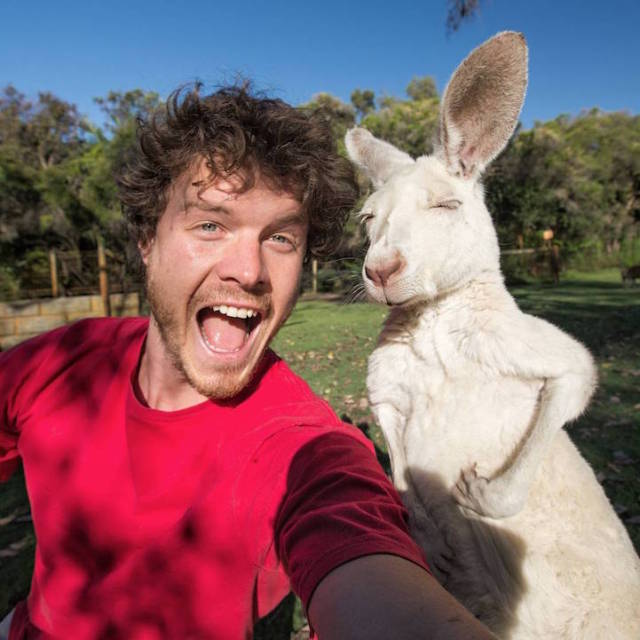 Allan Dixon selfie animal 3