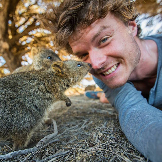Allan Dixon selfie animal 4