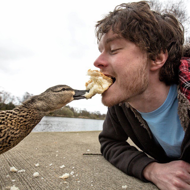 Allan Dixon selfie animal 5