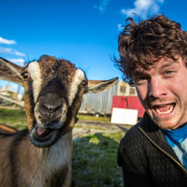 Allan Dixon selfie animal 8