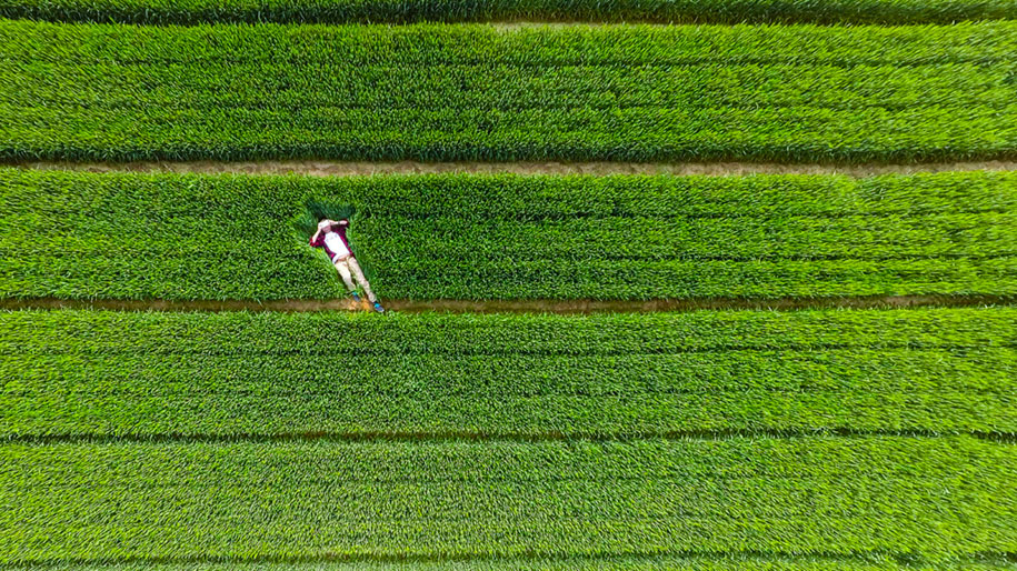 Amos Chapple drone photo