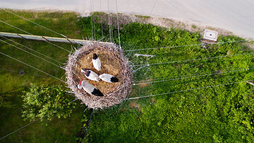 Amos Chapple drone photo11