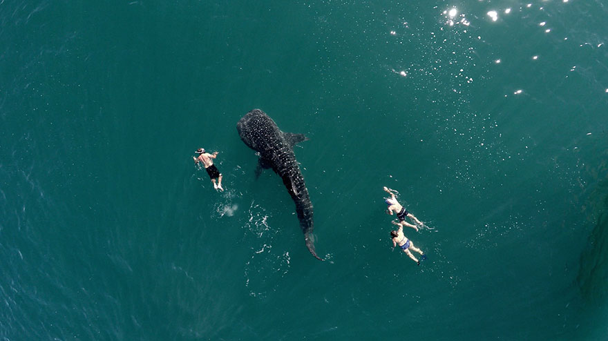Amos Chapple drone photo13