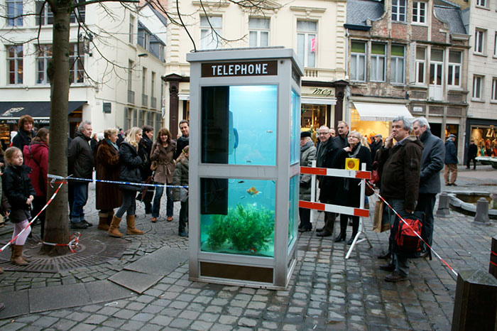 Benedetto Bufalino Benoit Deseille fish bowl pecera Cultura Inquieta5