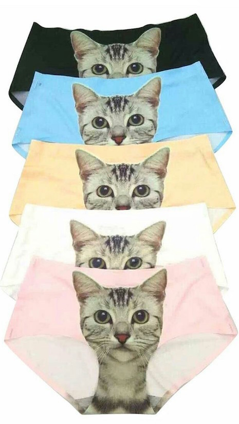 Cheeky pussy panties