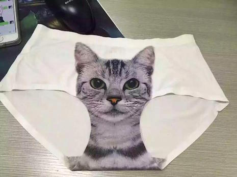 Cheeky pussy panties 2