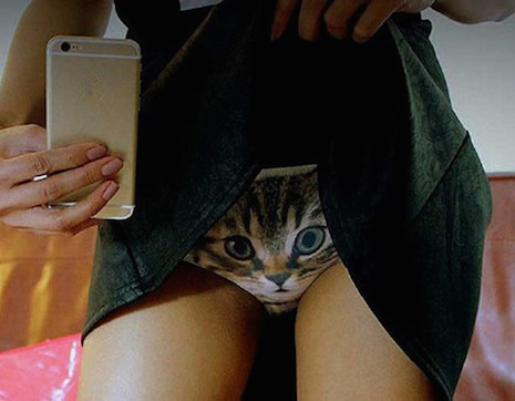 Cheeky pussy panties 3