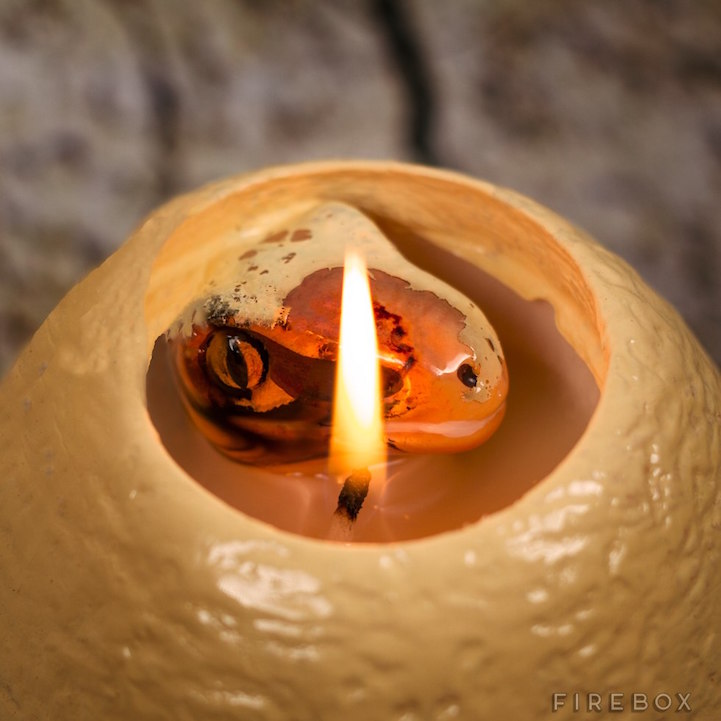 Hatching Dinosaur Candle huevo dinosaurio 2