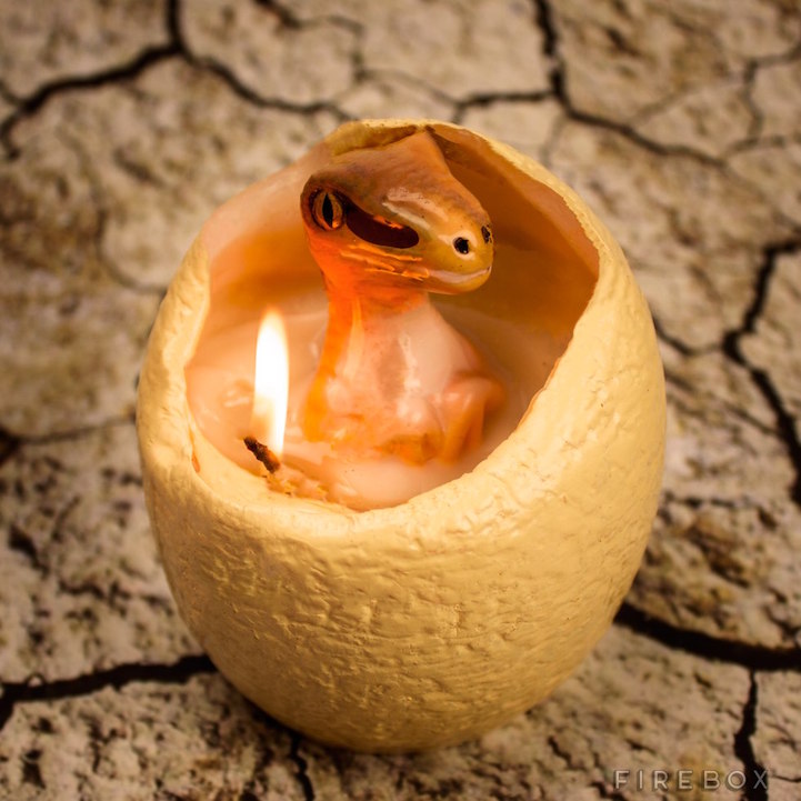 Hatching Dinosaur Candle huevo dinosaurio 3