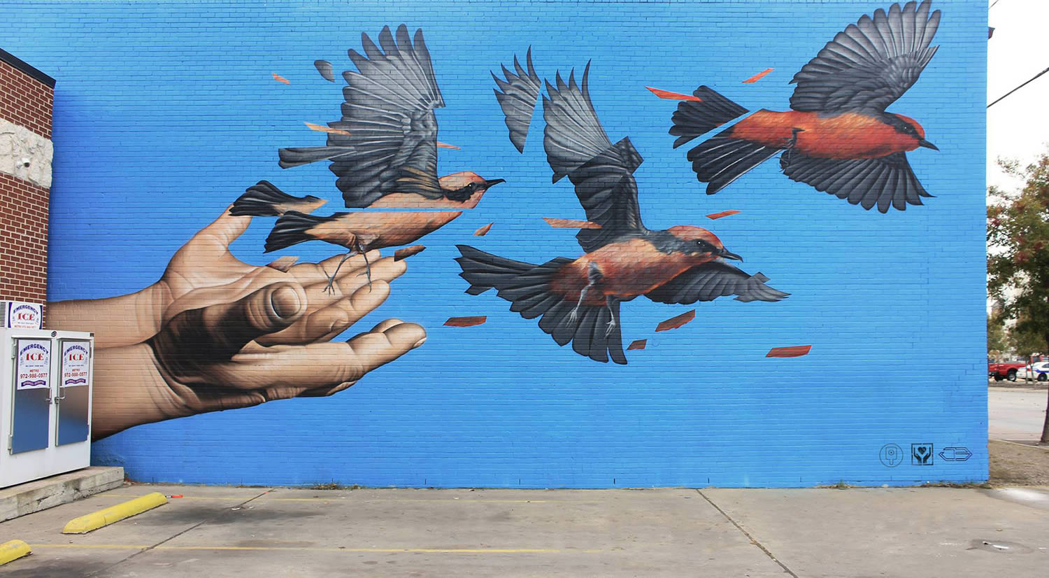 James Bullough street art mural arte urbano10